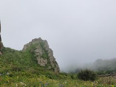 -白草畔自然风景区