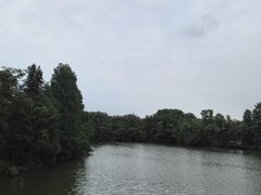 -东湖落雁景区