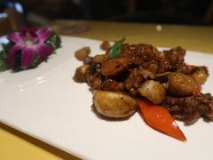 -素虎小呆鸟(西二旗店)
