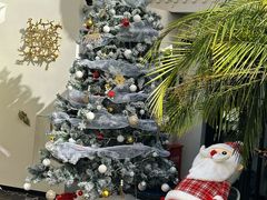 -弦月窗LUNETTE BY AMANDA(复兴路店)