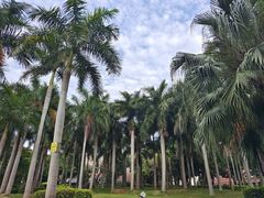 -厦门大学(思明校区)