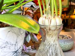 -十一咖啡(青年大街工厂店)