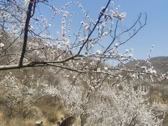 -灵溪风景区