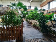 -陆地游轮吉林神农温泉