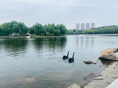 -长春世界雕塑园冰雪艺术天地