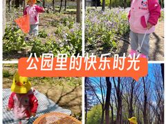 -长白岛森林公园