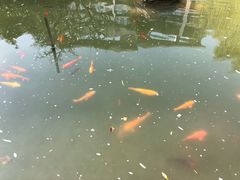 -西安国际创新人才交流中心•药浴温泉