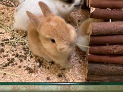 -龙猫仔乐园(惠福东路店)