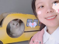 -联合动物医院(光谷诊疗中心)