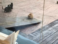 -静之湖湖畔餐厅