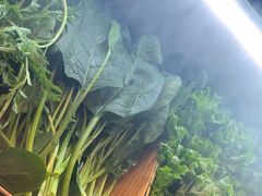 -牛YO寿喜烧火锅自助(三台子万象汇店)
