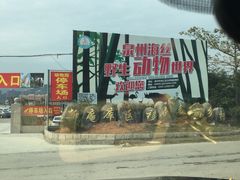 -泉州海丝野生动物世界