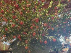 -八府香鸭·啫啫煲(华山路店)