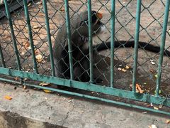-秦皇岛野生动物园