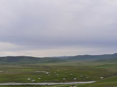 -郭莽湿地