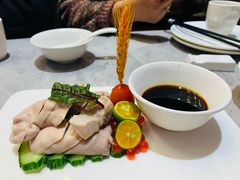 -老绍兴养和饭店(向阳不夜城店)