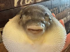 -永安鱼庄·镇江菜(丁卯店)