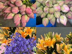 -成都中医药大学(温江校区)