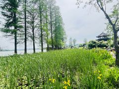 -东湖落雁景区