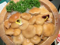 -季季山·云南野生菌火锅(上海首店)
