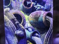 -太平洋海底世界