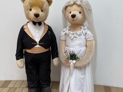 -济州岛泰迪熊博物馆