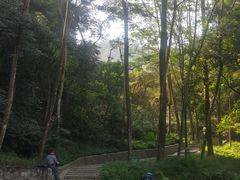 -黄埔油麻山森林公园