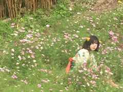 -重庆彩云湖湿地公园