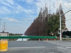 -大通湖