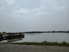 -宁波杭州湾国家湿地公园