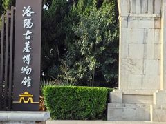 -洛阳古墓博物馆