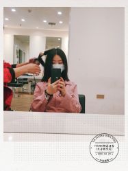 -YESIDO椰岛造型