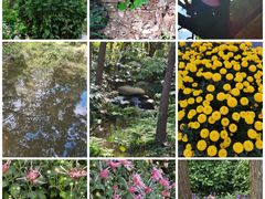 -共青国家森林公园-售票处