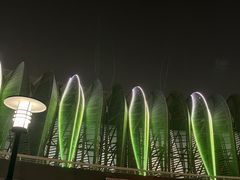 -奥体中心游泳馆