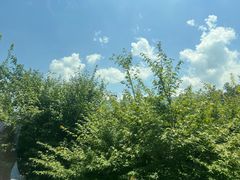 -将军关探险漂流