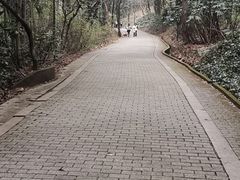 -宝岩生态观光园