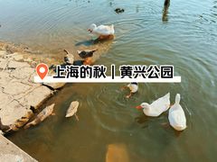 -黄兴公园
