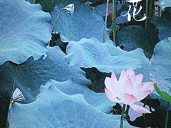 -荔湾湖公园