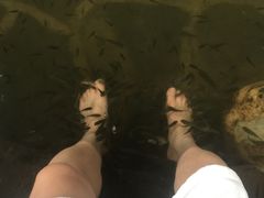 -西安国际创新人才交流中心•药浴温泉
