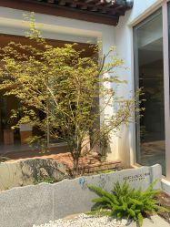 -AGE LOCK 锁龄美肌