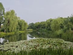 -金银湖国家城市湿地公园