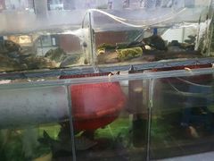 -山坑河鲜(昆仲楼店)