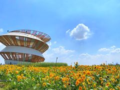 -光明小镇欢乐田园