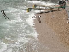 -海驴岛(荣成市)