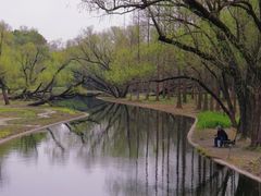 -上海共青森林公园