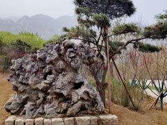 -北京凤凰岭