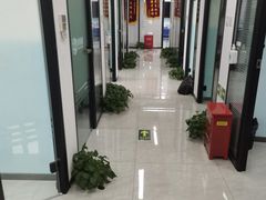 -新航道雅思托福·留学·考研培训(人民广场校区)
