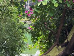 -晓港公园