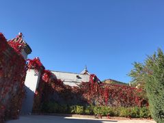 -北京西山国家森林公园