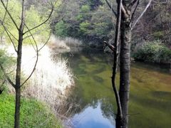 -洛阳白云山景区